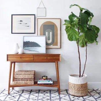 لباسی برای گلدان ها