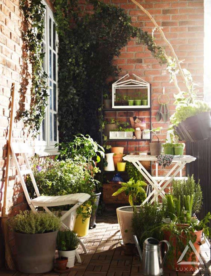 گیاهان آپارتمانی، چگونه طبیعت را میهمان خانه خود کنیم